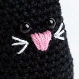 Black Cat Crochet Kit