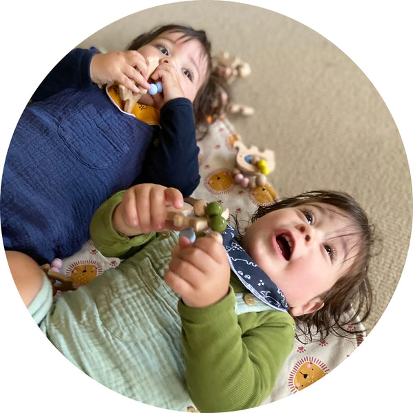 Wooden Kangaroo Teether Dragonfly Toys