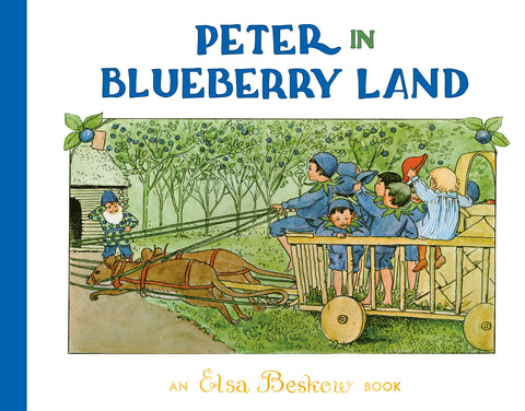 Peter In Blueberry Land book, Dragonfly toys 