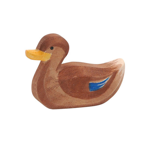 Wooden Duck Swimming Ostheimer