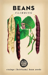 Heirloom Vegetable Seeds - Beans Climbing