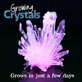 Test Tube | Growing Crystals, Dragonfly Toys