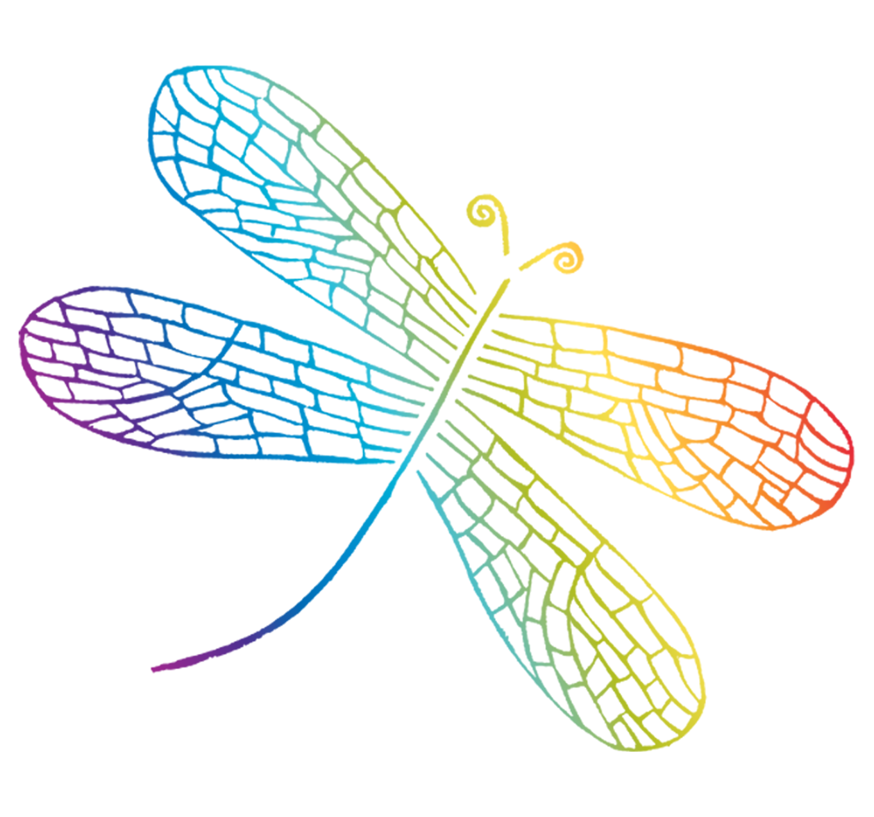 Dragonfly Toys, Wooden Toys, Sustainable Toys, Organic