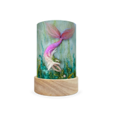 Toverlux Shades Het Wol Feetje set Seasons- Set of 5 , Dragonfly Toys 