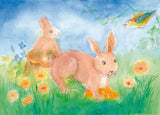 A Set of 12 Animal Postcards by Dorothea Schmidt, Dragonfly Toys 