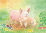 A Set of 12 Animal Postcards by Dorothea Schmidt, Dragonfly Toys 