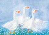 A Set of 12 Animal Postcards by Dorothea Schmidt