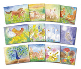 A Set of 12 Animal Postcards by Dorothea Schmidt, Dragonfly Toys 