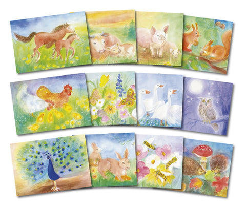 A Set of 12 Animal Postcards by Dorothea Schmidt, Dragonfly Toys 