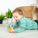 Activity Balls, Dragonfly Toys 