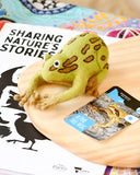 Alpine Tree Frog (Australian Animal) Dragonfly Toys 
