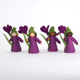Ambrosius Flower Fairy Crocus