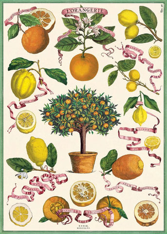Cavallini Poster/Gift Wrap – L’Orangerie