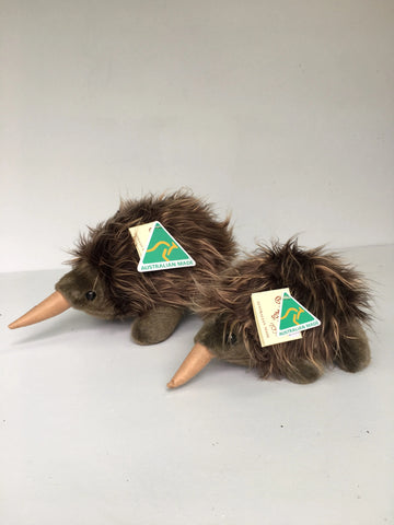 Echidna