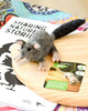 Felt-Australian-Brush-Tail-Phascogal-2DragonflyToys
