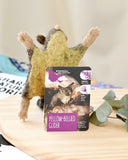 Felt-Australian-Yellow-Bellied-Glider-Dragonfly Toys 