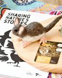 Felt Australian Toy - White-Footed Dunnart - Parks Victoria Nature Mascots, Dragonfly Toys 