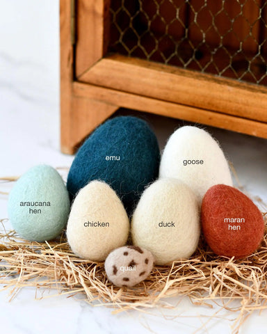 FELT EGGS (7 TYPES OF POULTRY EGGS), Dragonfly Toys 