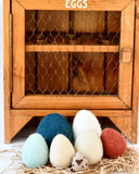 FELT EGGS (7 TYPES OF POULTRY EGGS), Dragonfly Toys 