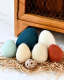FELT EGGS (7 TYPES OF POULTRY EGGS), Dragonfly Toys 
