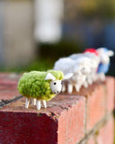 Felt Green Sheep Storytelling Toy Set (5 Colours)