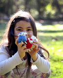 Felt Green Sheep Storytelling Toy Set (5 Colours)