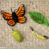 Felt Life Cycle Monarch Butterfly