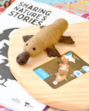 Felt Platypus Toy (Australian Animal)