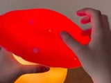 Heico Lamp – Large Mushroom Night Lamp - Red