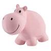 Hippo Rubber Teether Rattle & Bath Toy