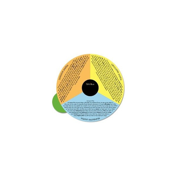 Taula Human Body Wheel Chart – Dragonfly Toys
