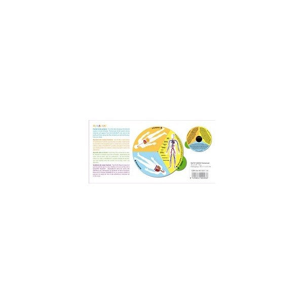 Human Body System Wheel Taula Human Body Wheel Chart – Dragonfly Toys