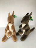 Kangaroo(With Joey)