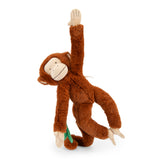 La Foret Mawa hanging activity monkey