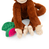 La Foret Mawa hanging activity monkey