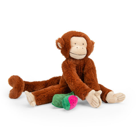 La Foret Mawa hanging activity monkey