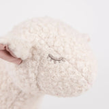 Egmont Pull Along Mary The Lamb