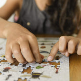 Poppik Insects Discovery Puzzle 500 Pieces