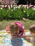 Scribble Mat Reusable Colouring Portable Mat - In the Garden