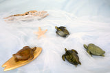 Sea Turtle Soapstone Carving Kit Studiostone Creative, Dragonfly Toys 
