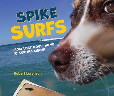 Spike Surfs