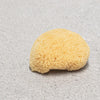 Sponge Natural Silk boxed 8cm