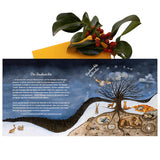 Toverlux Advent Calendar The 12 Holy Nights