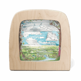 Toverlux Edulux Stephanie Green Watercycle’s