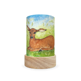 Toverlux Shades Eentje Van Margo Forest Animals