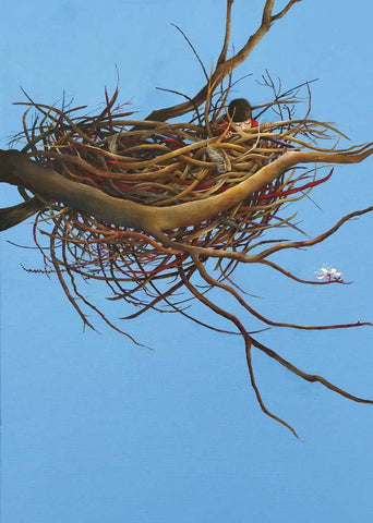 Greeting Card- Nest by Annie White, Dragonfly Toys 