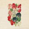 Greeting Card - Floral -Bella vintage