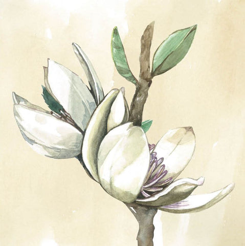Greeting Card - Flower by Virginia Hau