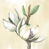 Greeting Card - Flower by Virginia Hau