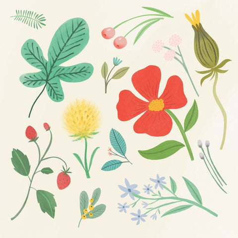 Greeting Card -Cream Florals by Cat MacInnes